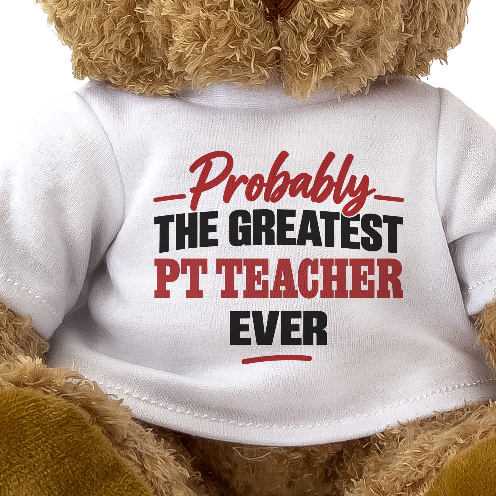 Close-up of the Probably the Greatest PT Teacher Ever T-shirt design
