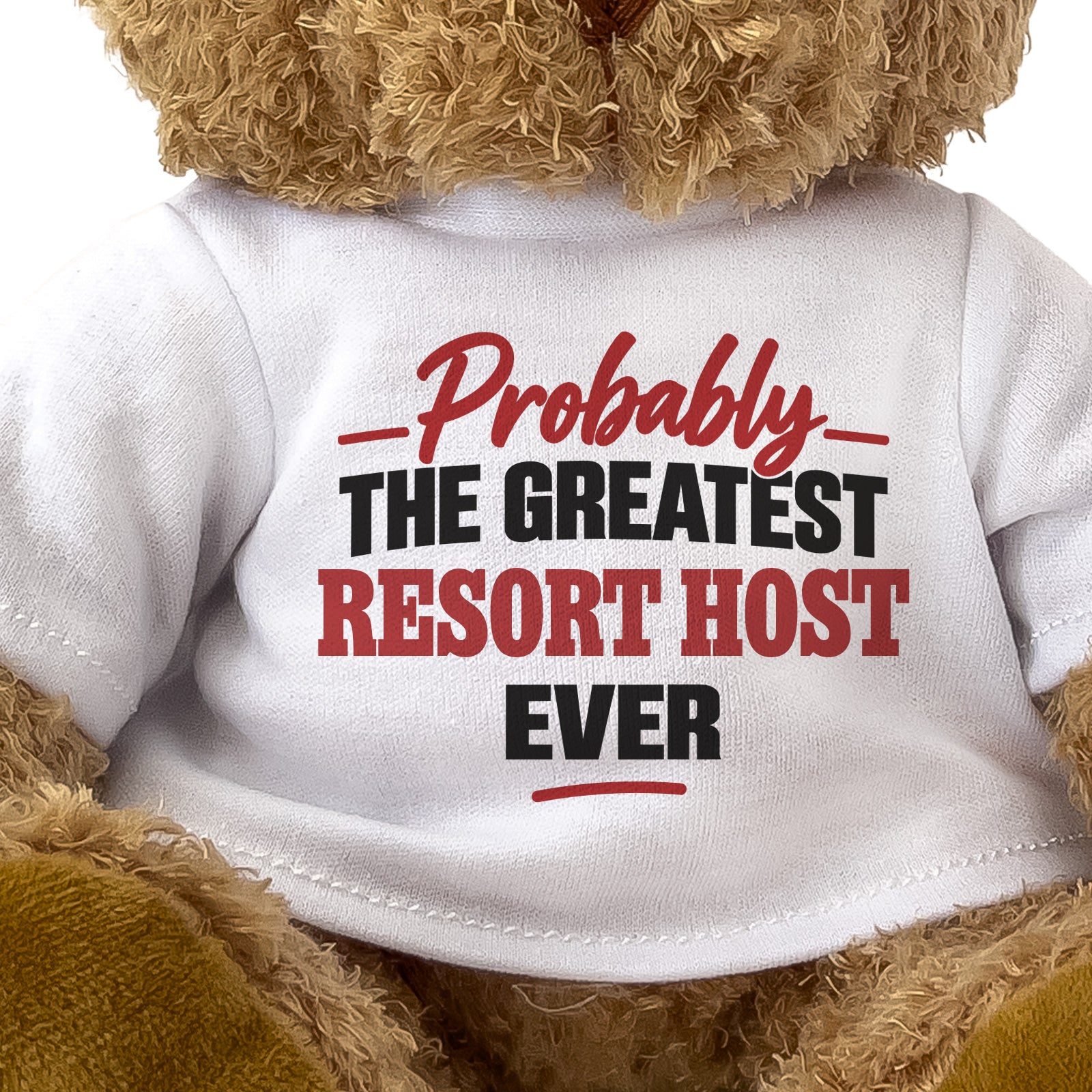 Close-up of the Probably the Greatest Resort Host Ever T-shirt design