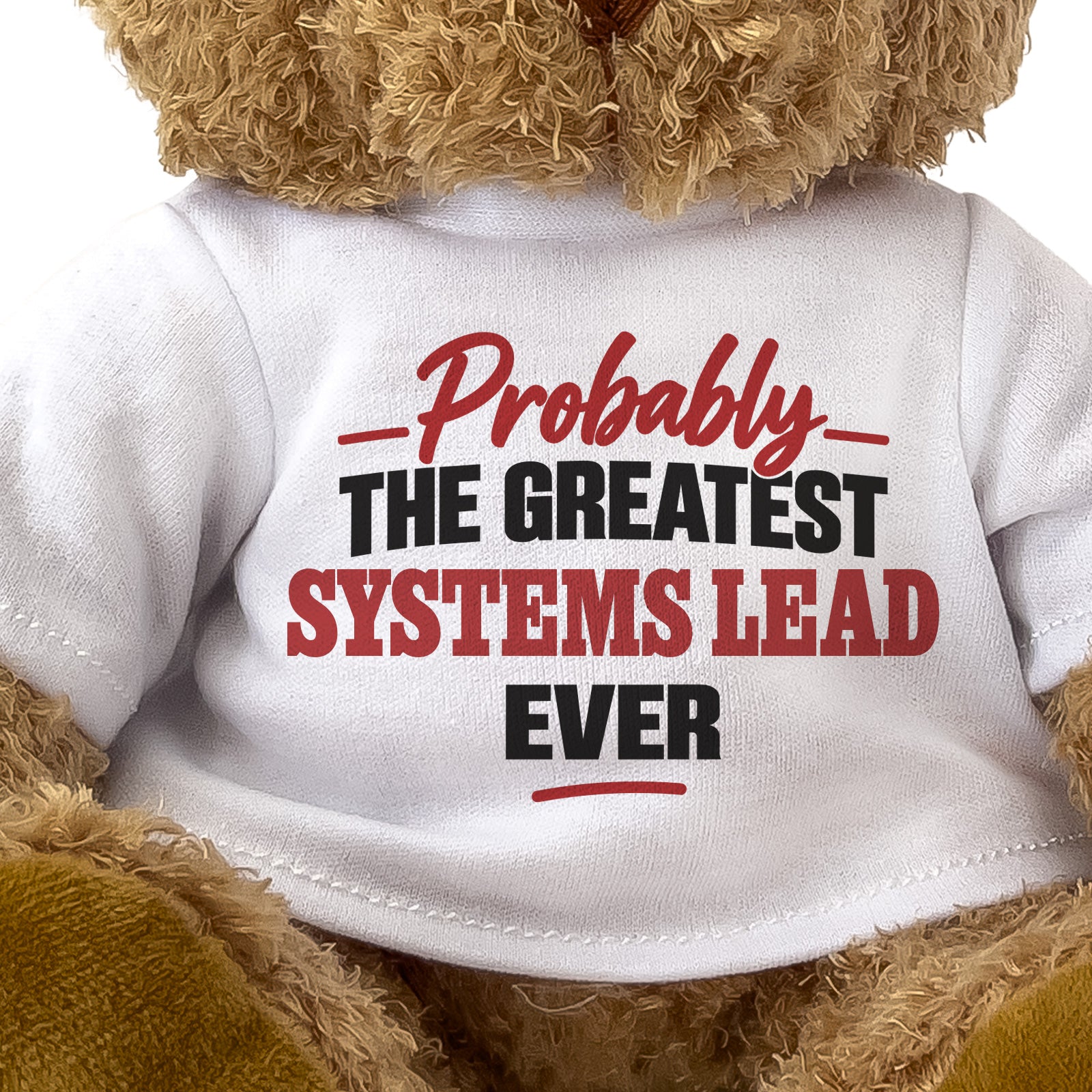 Close-up of the Probably the Greatest Systems Lead Ever T-shirt design