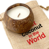 BEST COCONUT IN THE WORLD - Toasted Coconut Bowl Candle – Soy Wax - Gift Present