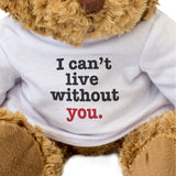 I Can't Live Without You - Teddy Bear