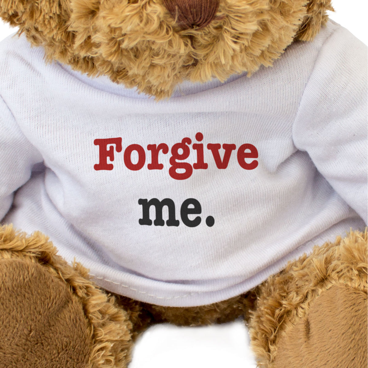 Forgive Me Teddy Bear Apology Gift