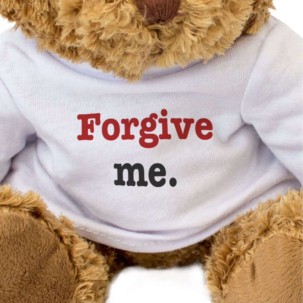 Forgive Me - Teddy Bear