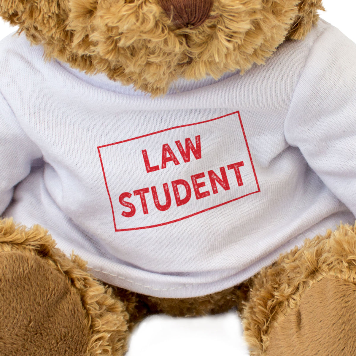 Law Student - Teddy Bear