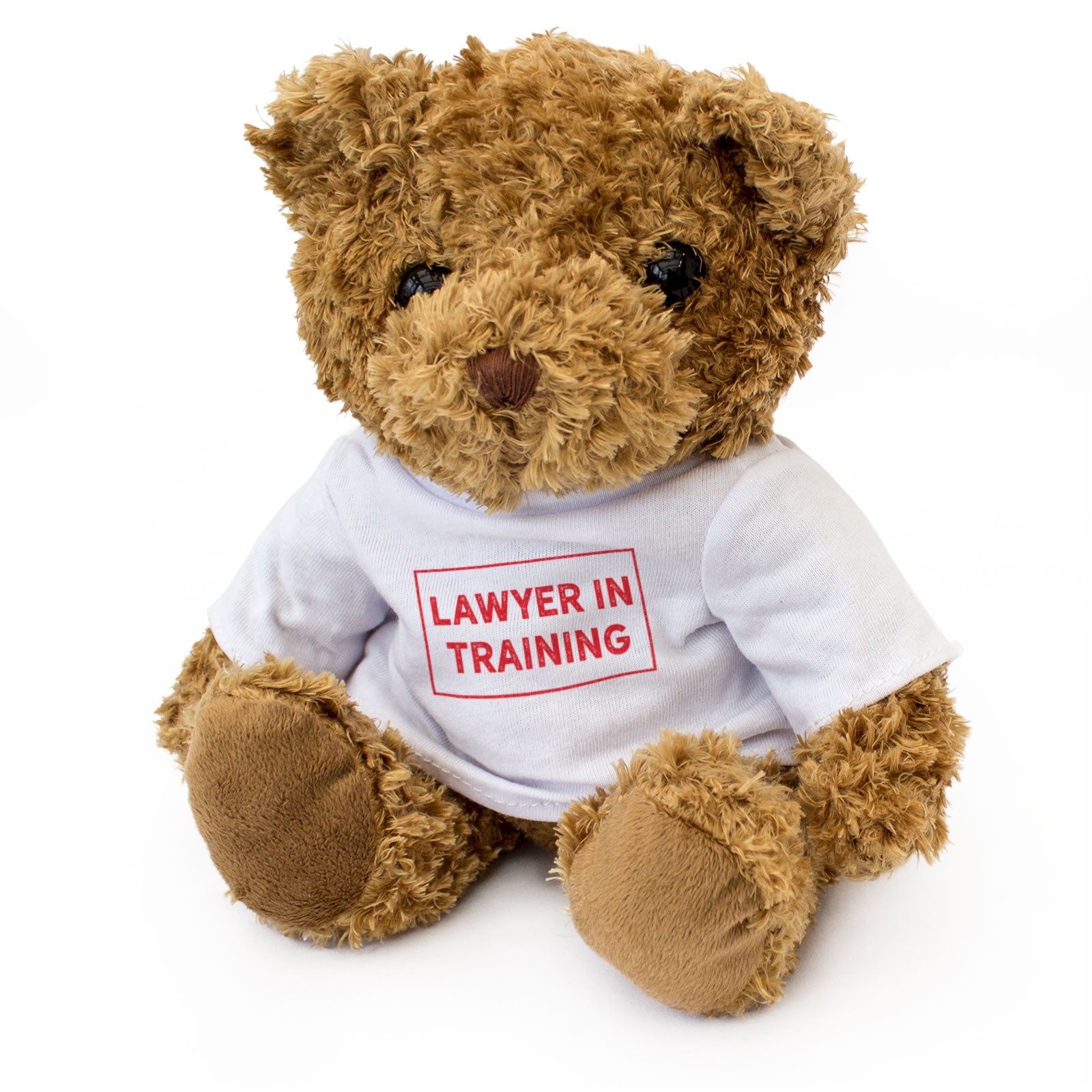 Lawyer In Training - Teddy Bear
