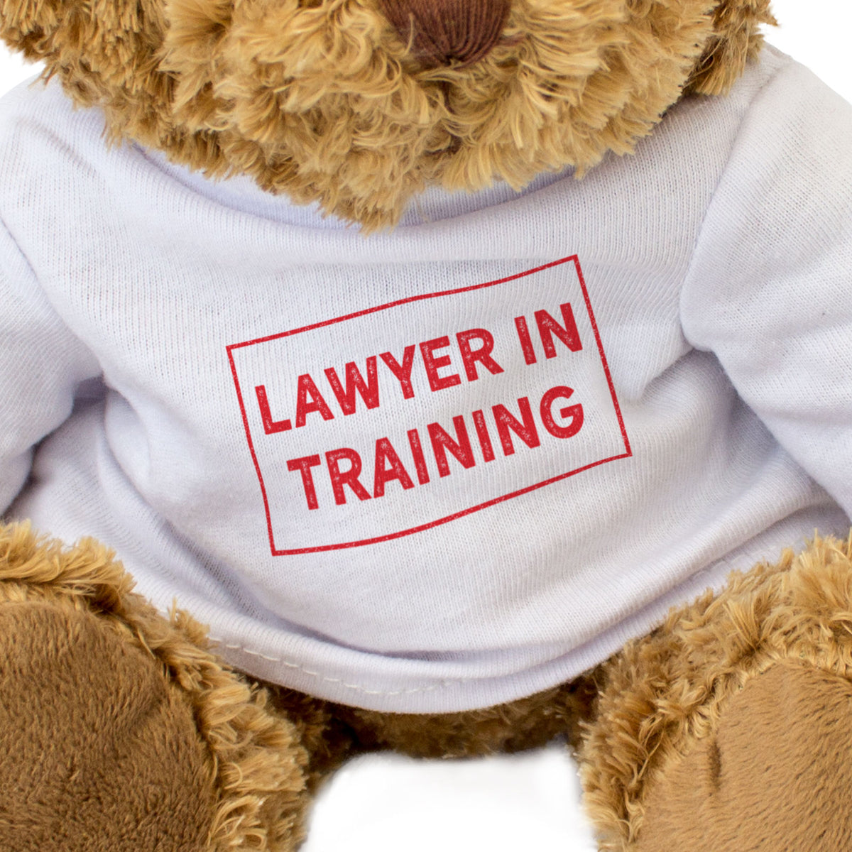 Lawyer In Training - Teddy Bear