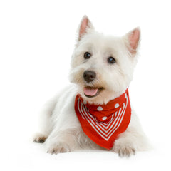 Love Westies Cushion, West Highland Terrier