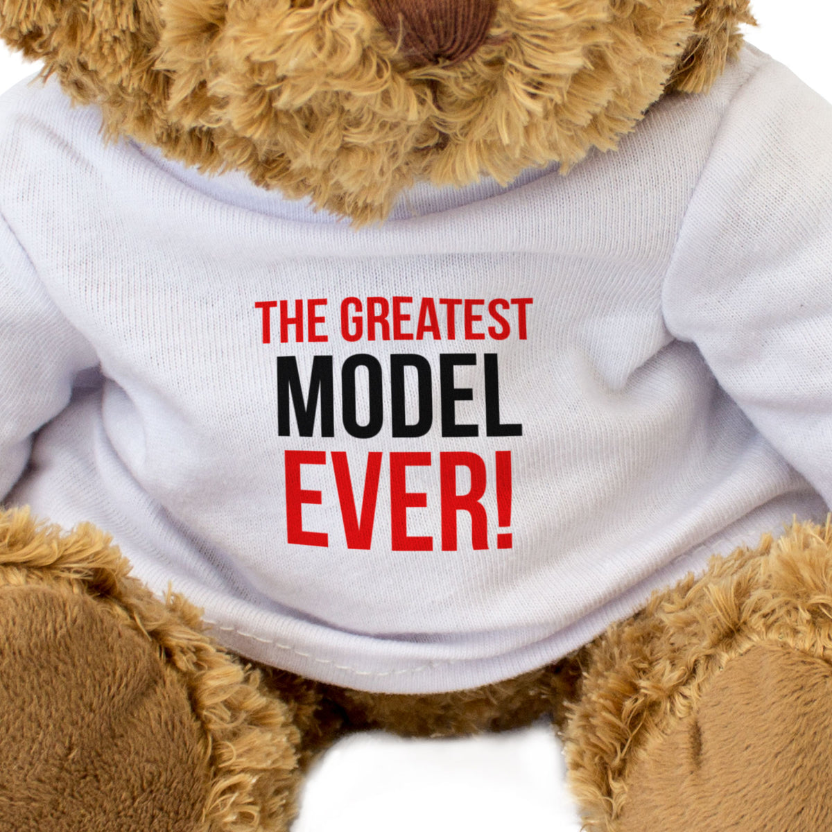 The Greatest Model Ever - Teddy Bear