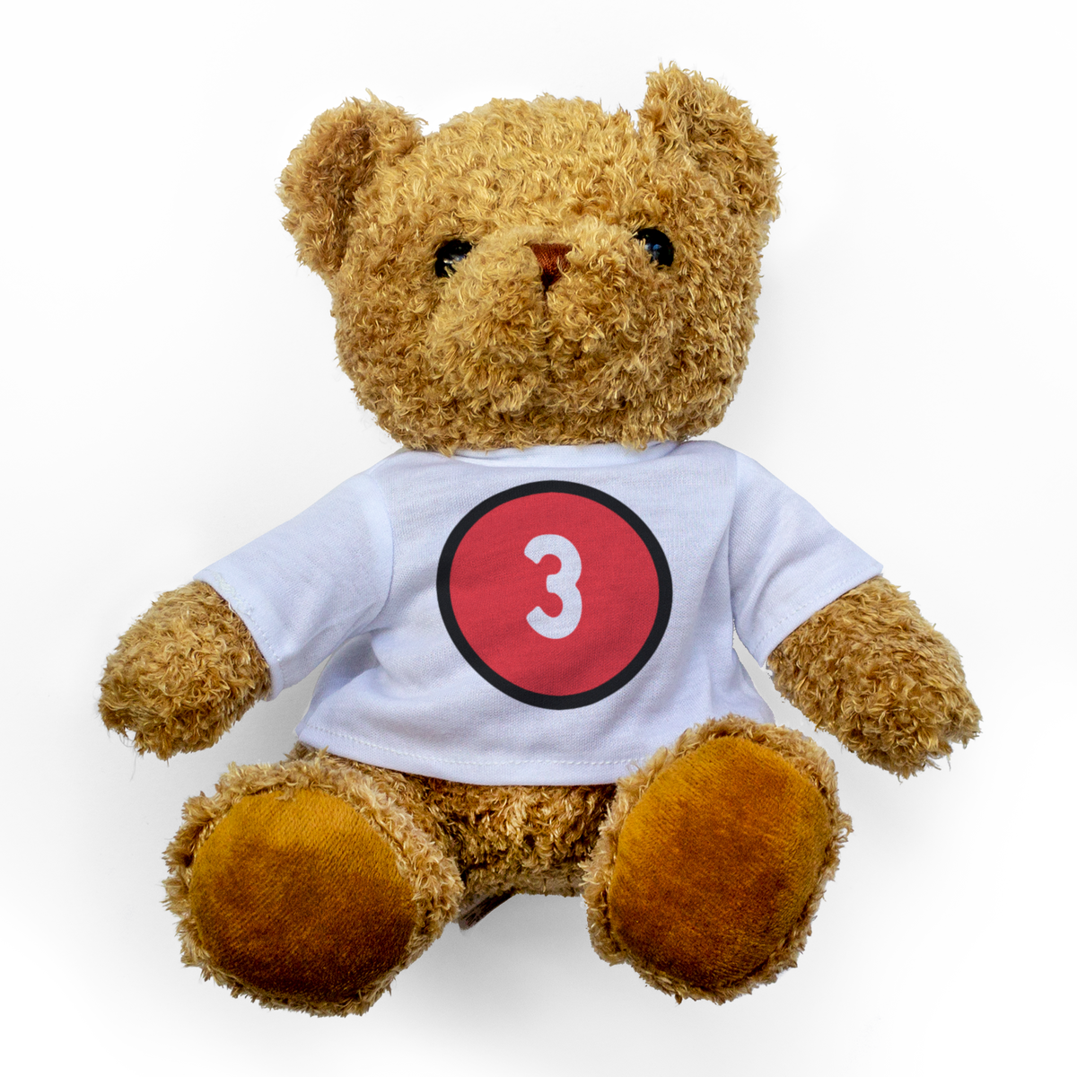 Number 3 - Teddy Bear