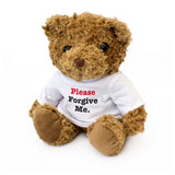 Please Forgive Me - Teddy Bear
