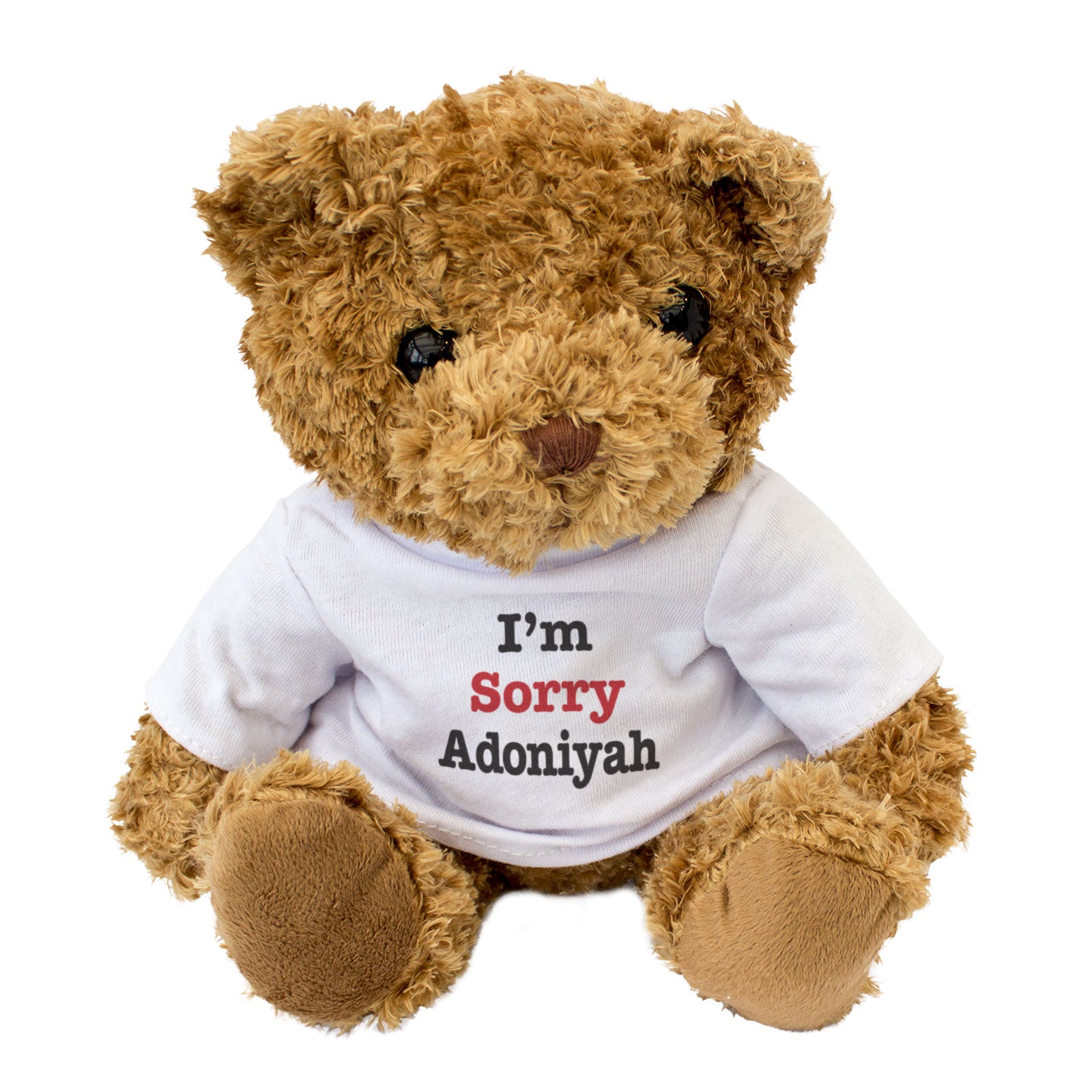 I Am Sorry Adoniyah - Teddy Bear