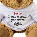 Sorry I Was Wrong You Were Right - Teddy Bear