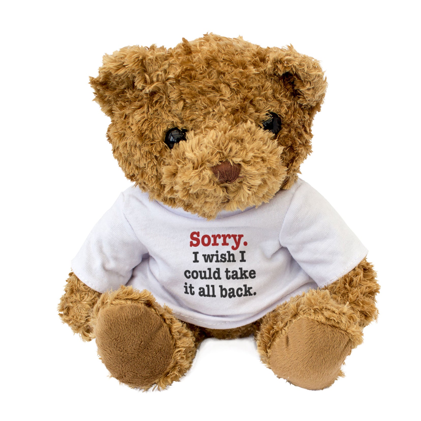 Sorry I Wish I Could Take It All Back - Teddy Bear