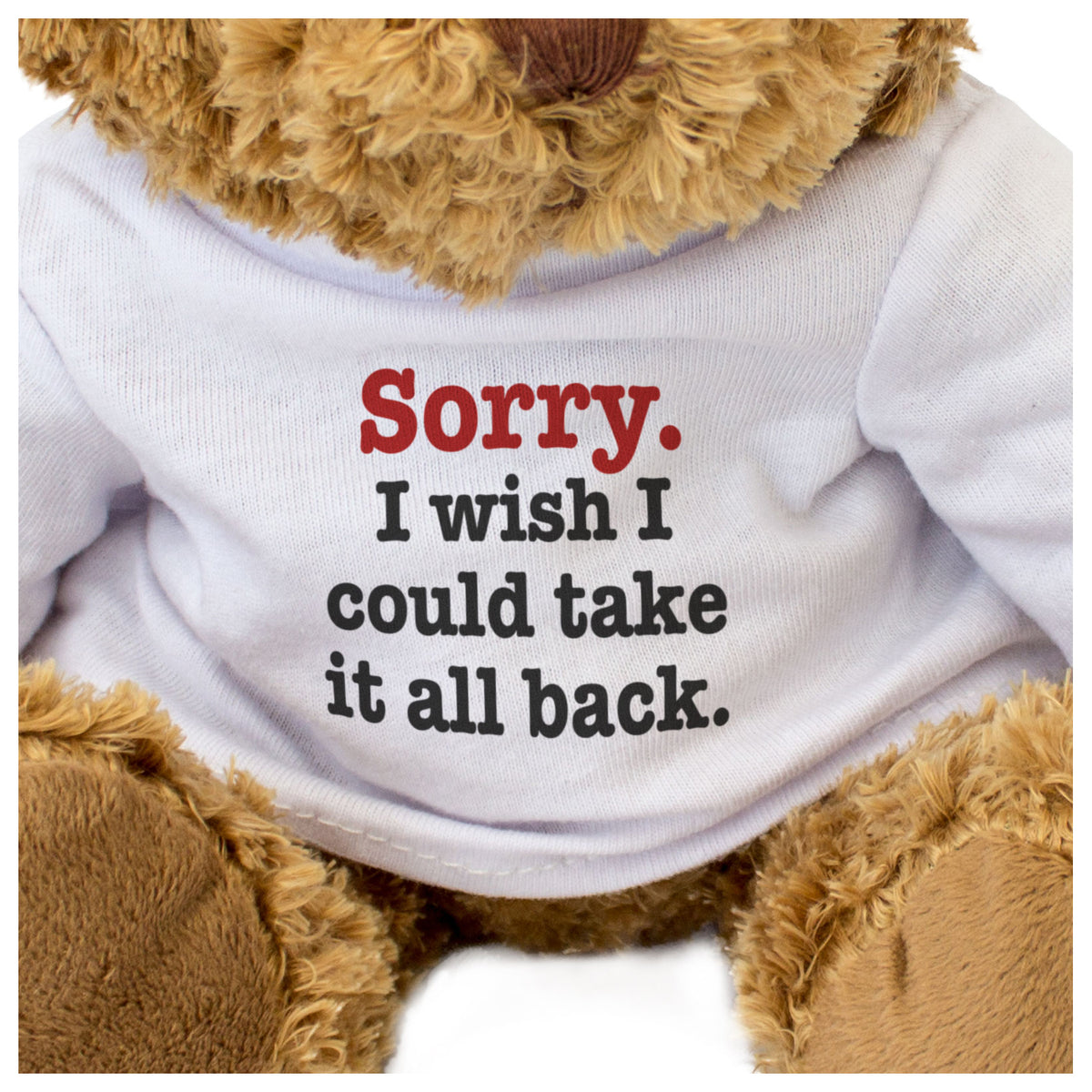 Sorry I Wish I Could Take It All Back - Teddy Bear