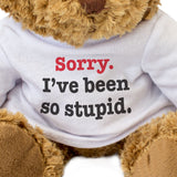 Sorry I've Been So Stupid Teddy Bear Apology Gift