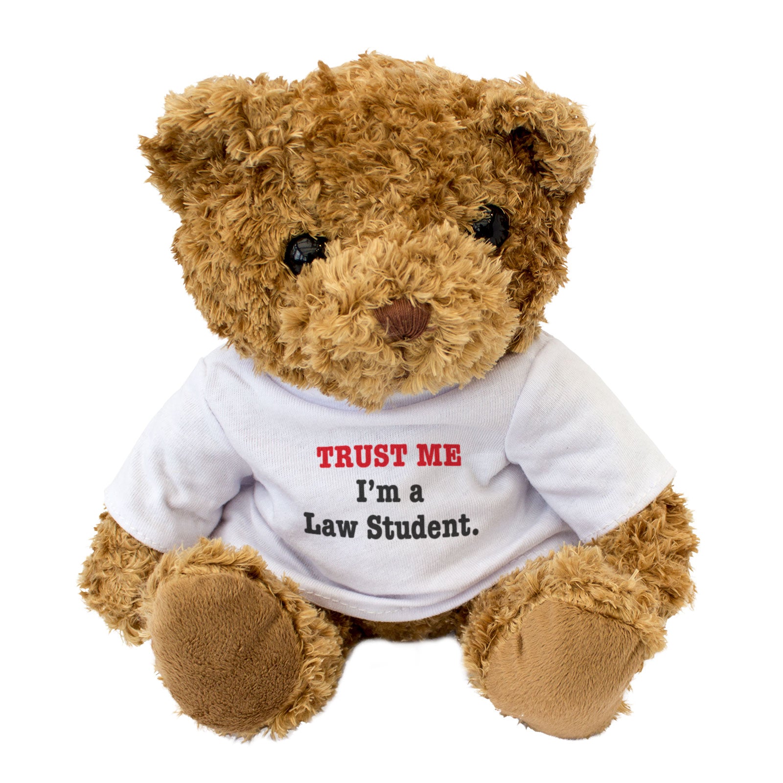 Trust Me I'm A Law Student - Teddy Bear