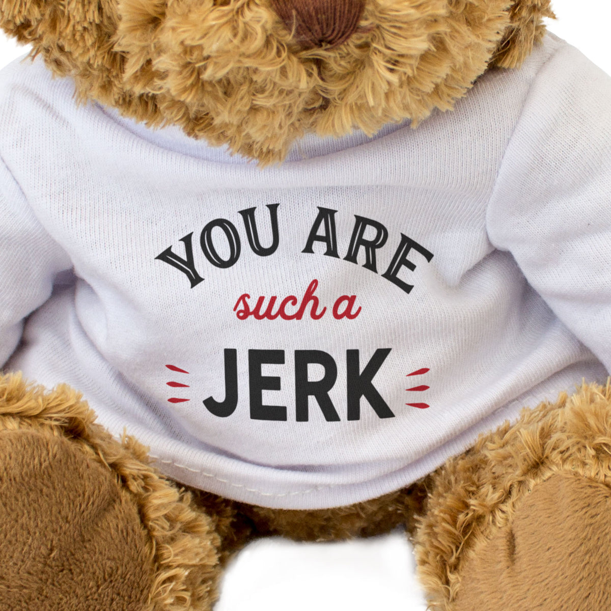 You Are Such A Jerk - Teddy Bear
